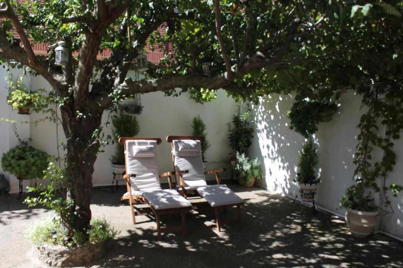 La Olmedana Villa Olmedo Dış mekan fotoğraf
