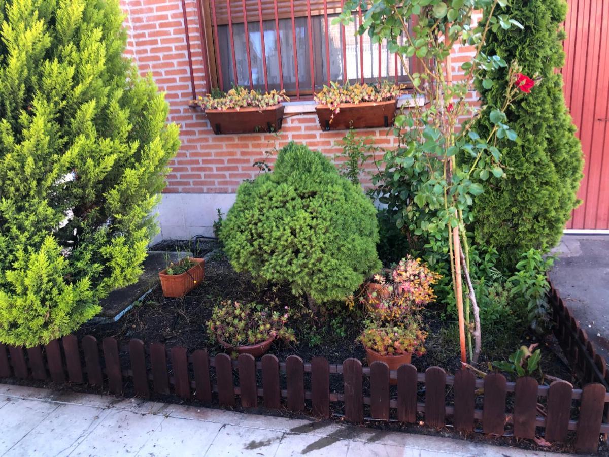 La Olmedana Villa Olmedo Dış mekan fotoğraf