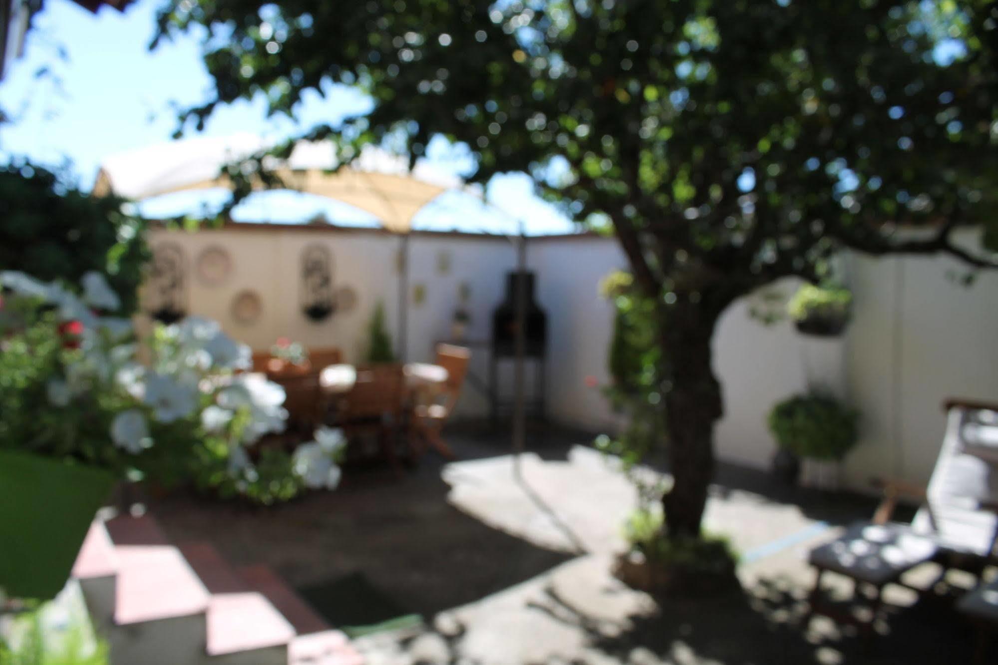 La Olmedana Villa Olmedo Dış mekan fotoğraf
